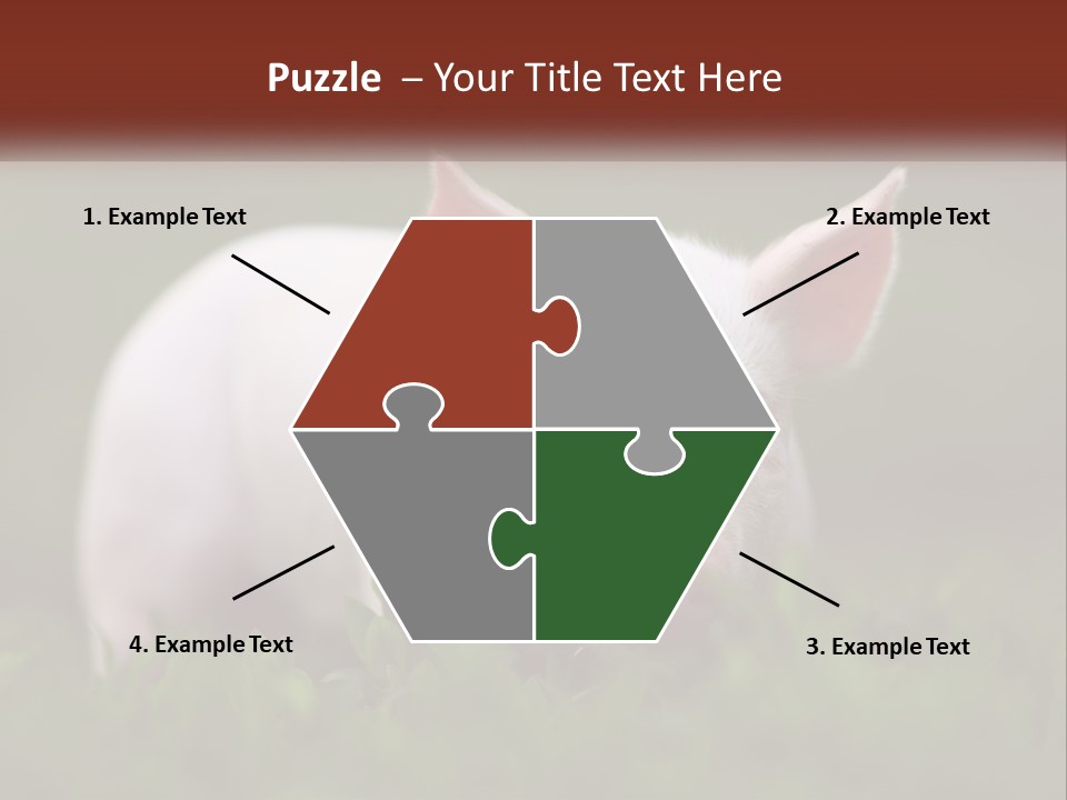 Sow Pink View PowerPoint Template