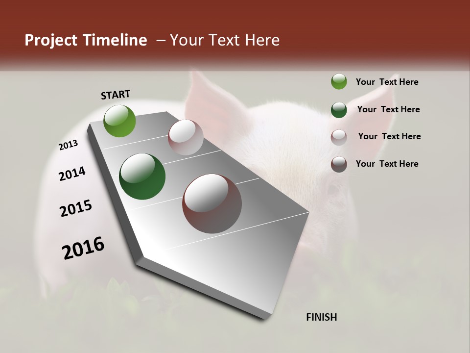 Sow Pink View PowerPoint Template