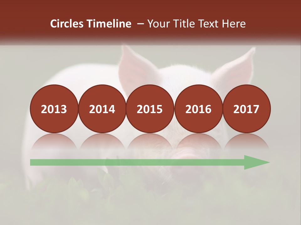 Sow Pink View PowerPoint Template