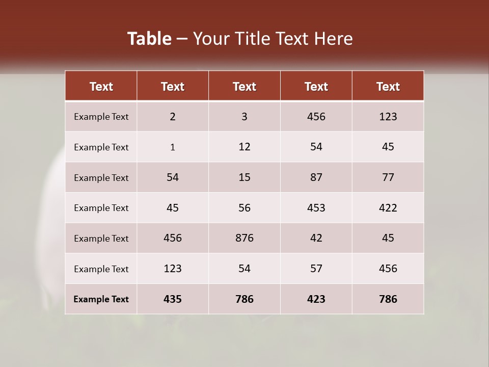 Sow Pink View PowerPoint Template