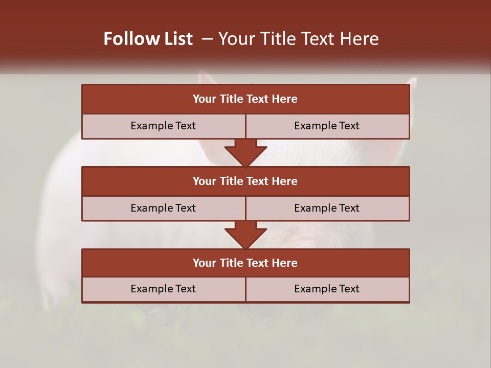 Sow Pink View PowerPoint Template