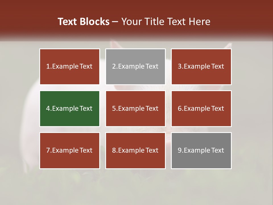 Sow Pink View PowerPoint Template