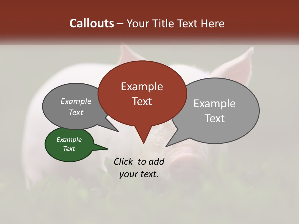 Sow Pink View PowerPoint Template