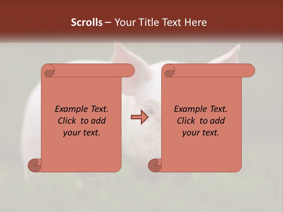 Sow Pink View PowerPoint Template