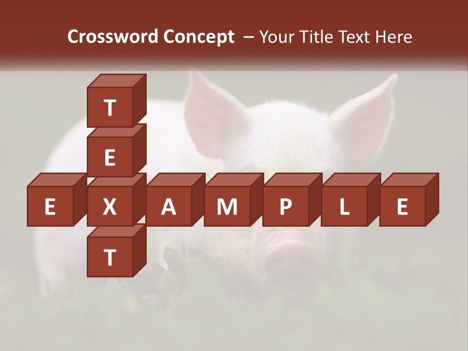 Sow Pink View PowerPoint Template