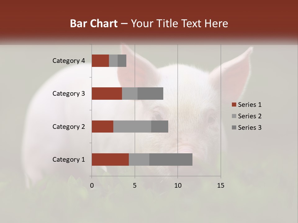 Sow Pink View PowerPoint Template