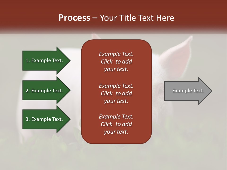 Sow Pink View PowerPoint Template