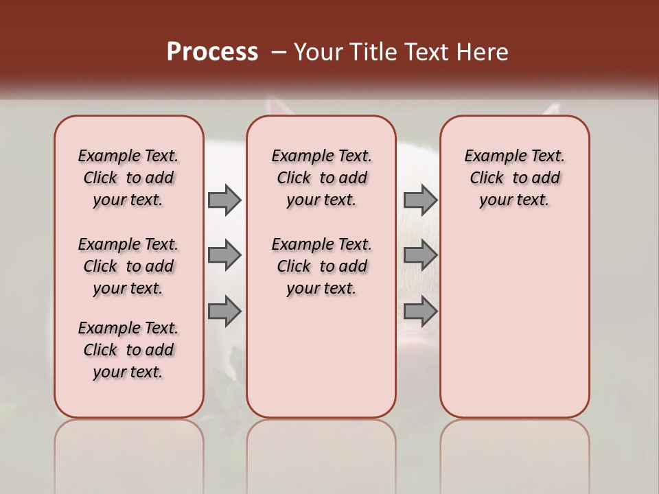 Sow Pink View PowerPoint Template