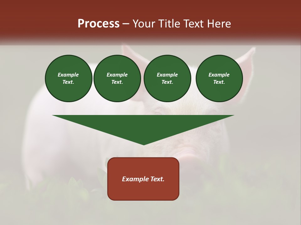 Sow Pink View PowerPoint Template