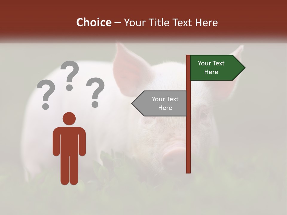 Sow Pink View PowerPoint Template