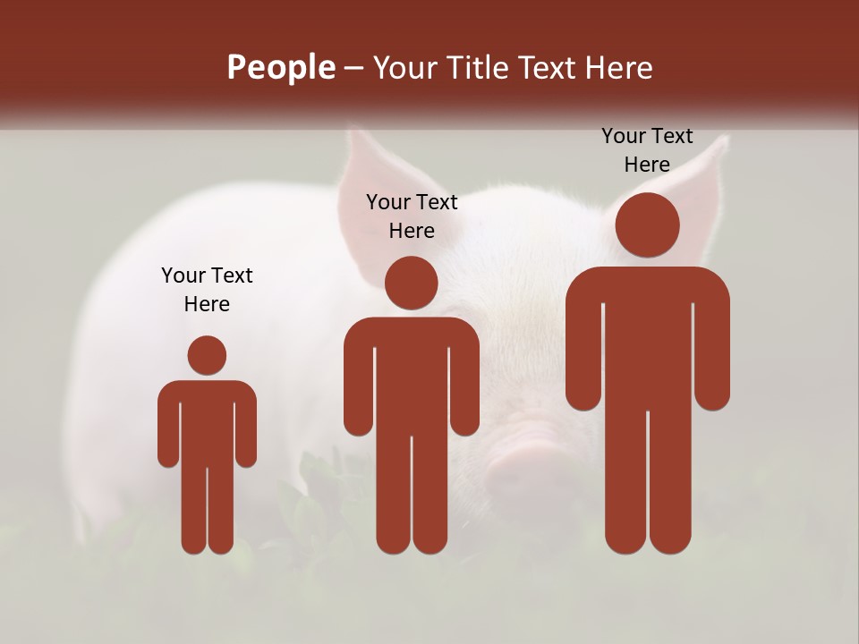 Sow Pink View PowerPoint Template