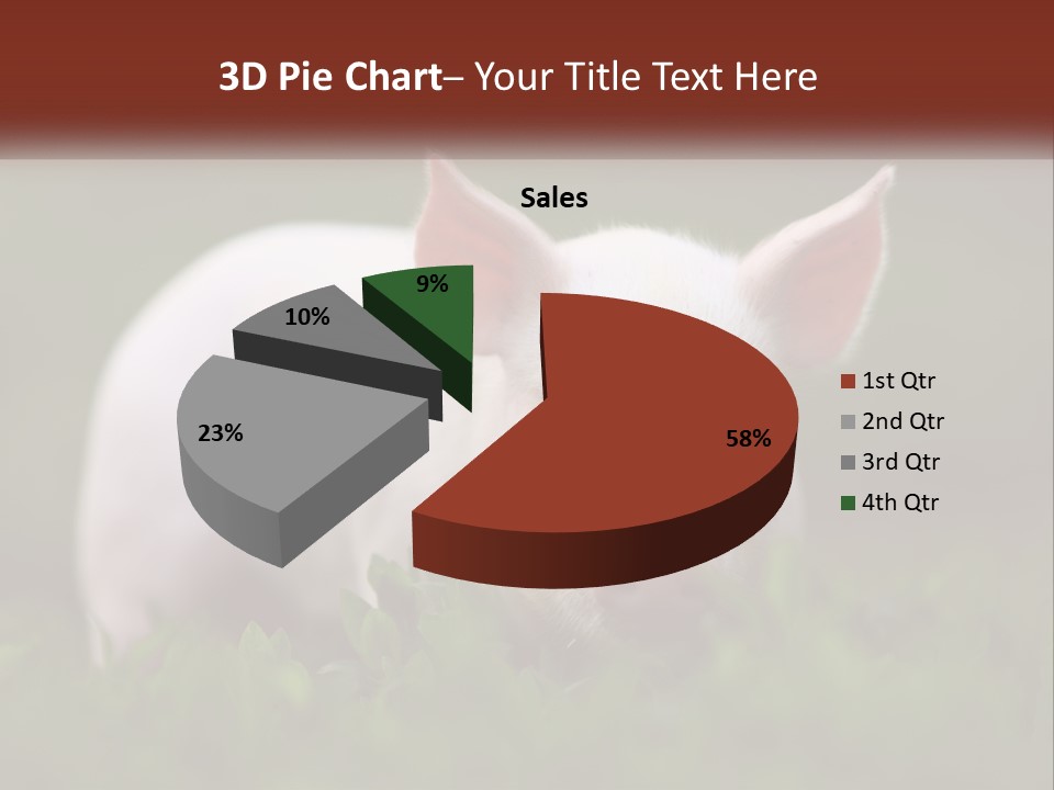 Sow Pink View PowerPoint Template