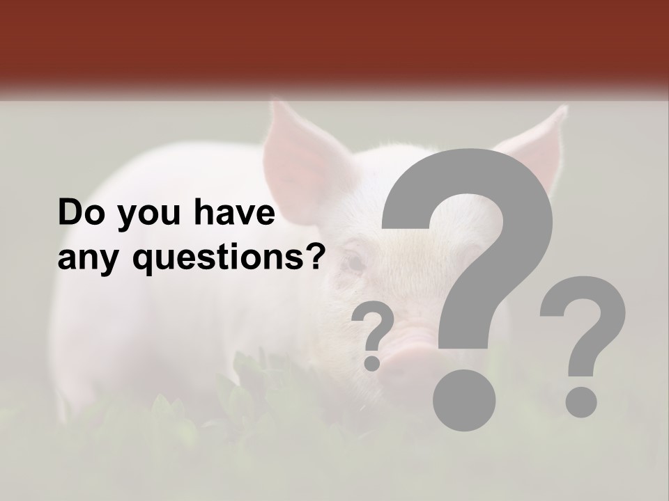 Sow Pink View PowerPoint Template