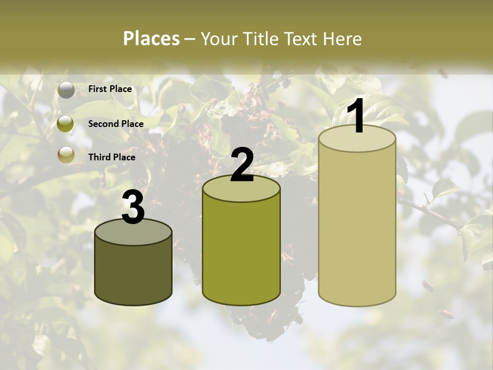 Thorax Tree Garden PowerPoint Template