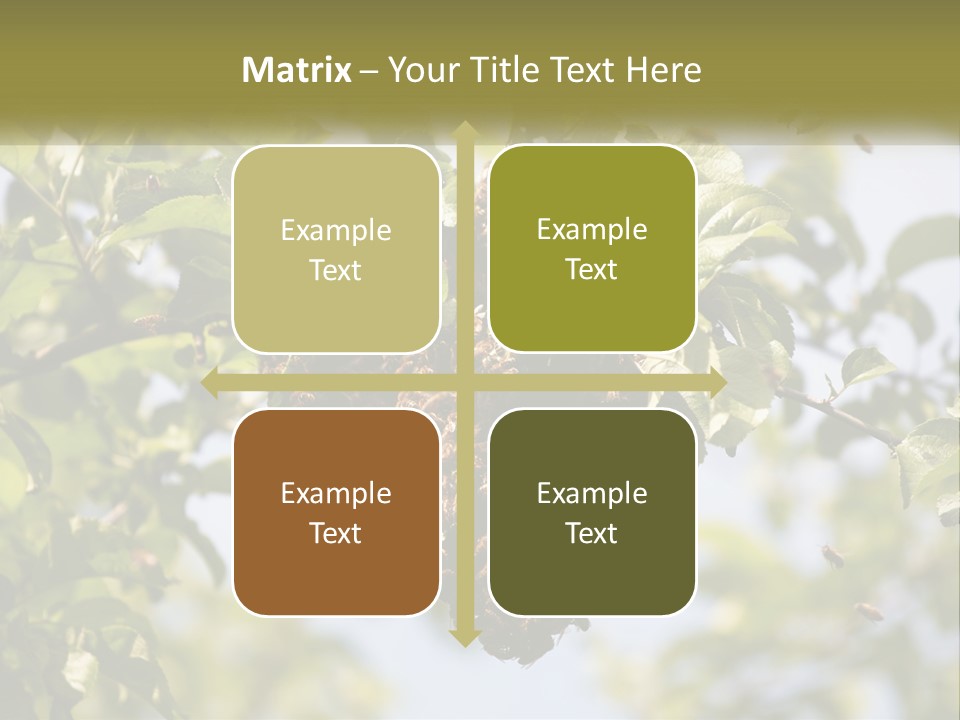 Thorax Tree Garden PowerPoint Template