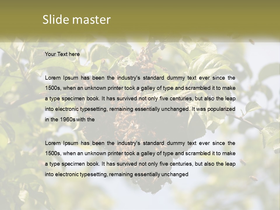 Thorax Tree Garden PowerPoint Template