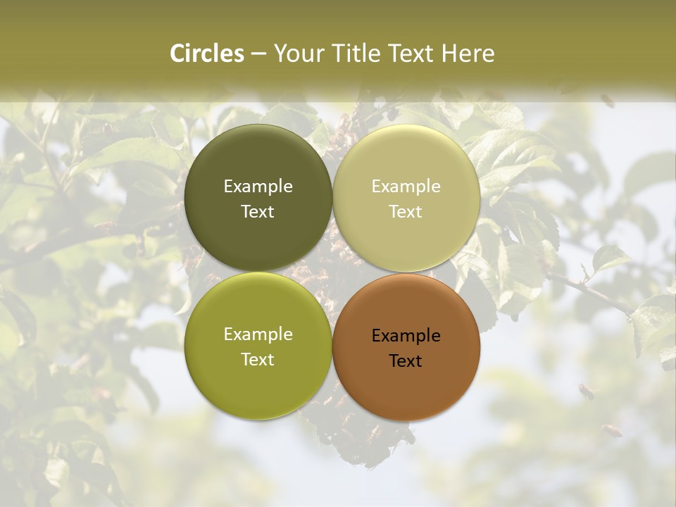 Thorax Tree Garden PowerPoint Template