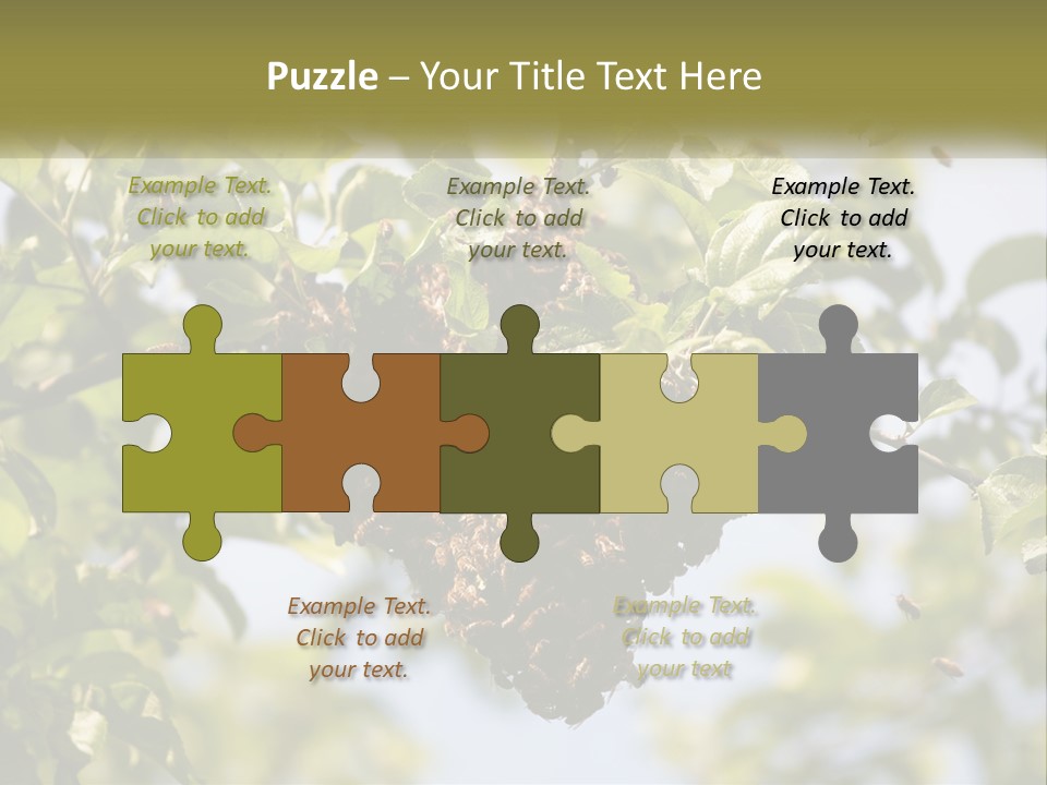 Thorax Tree Garden PowerPoint Template