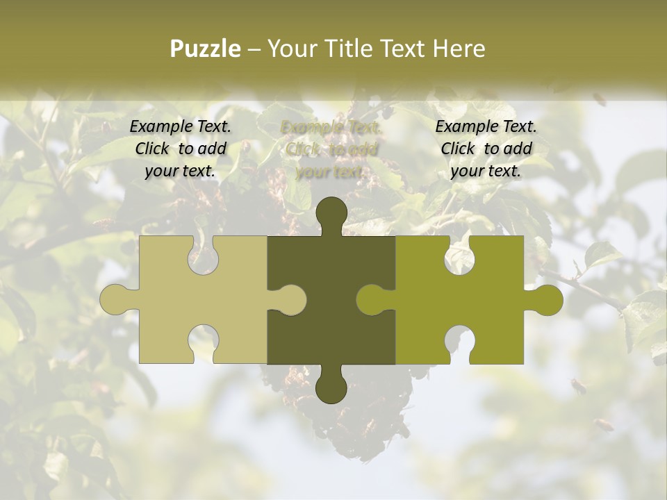 Thorax Tree Garden PowerPoint Template