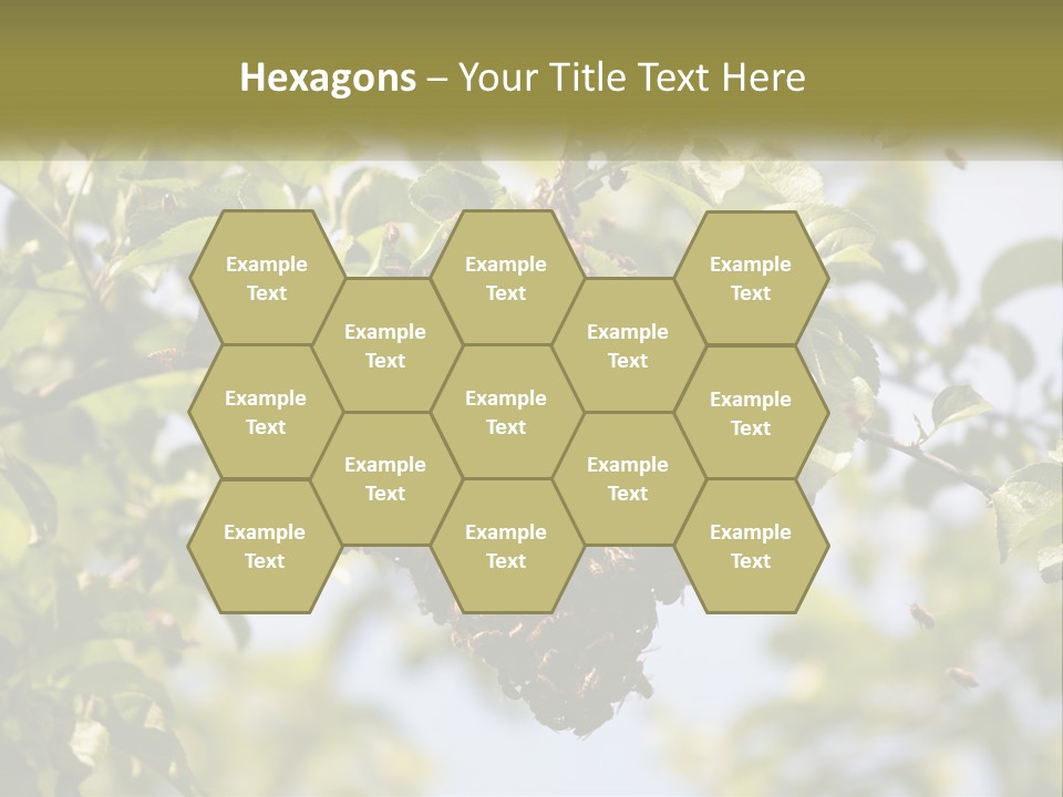 Thorax Tree Garden PowerPoint Template