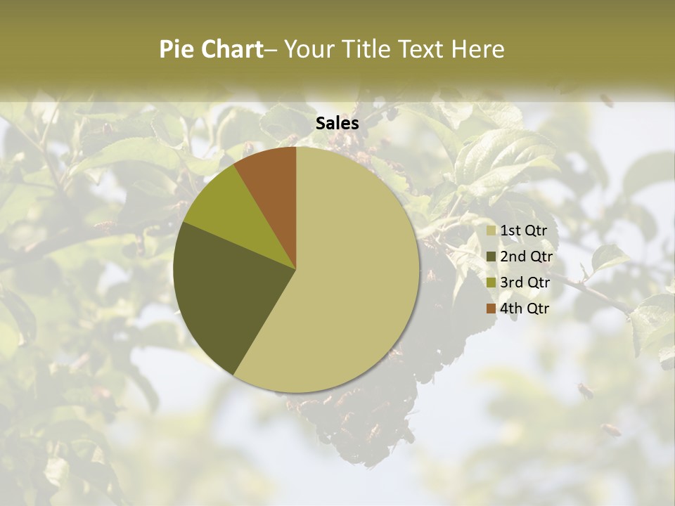 Thorax Tree Garden PowerPoint Template