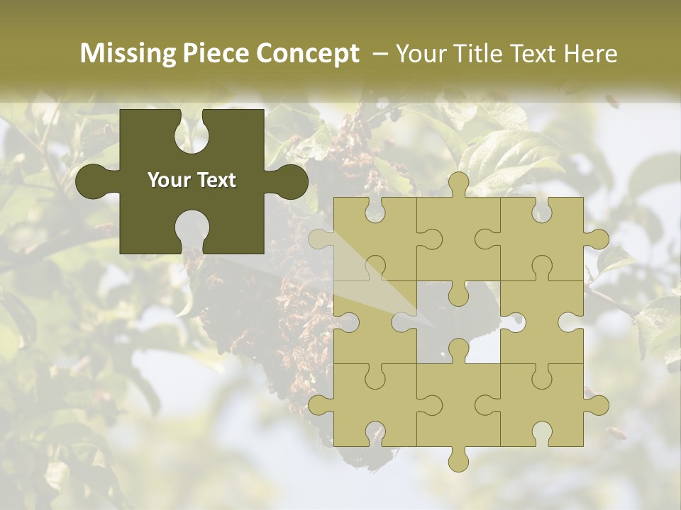 Thorax Tree Garden PowerPoint Template