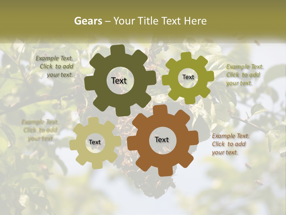 Thorax Tree Garden PowerPoint Template
