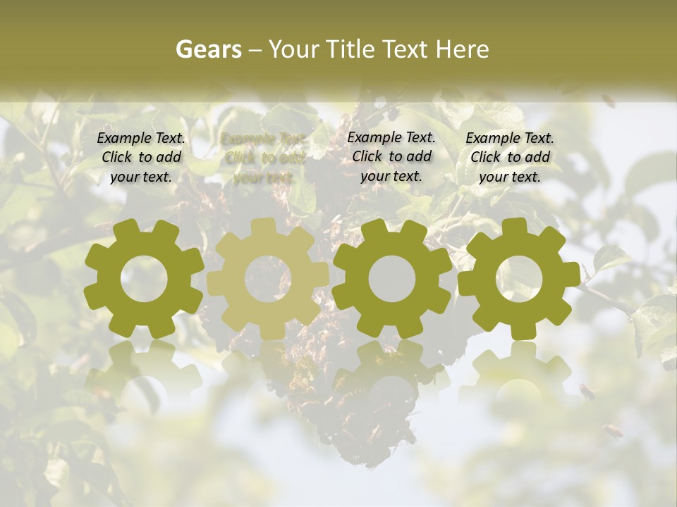 Thorax Tree Garden PowerPoint Template