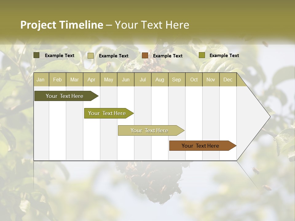 Thorax Tree Garden PowerPoint Template