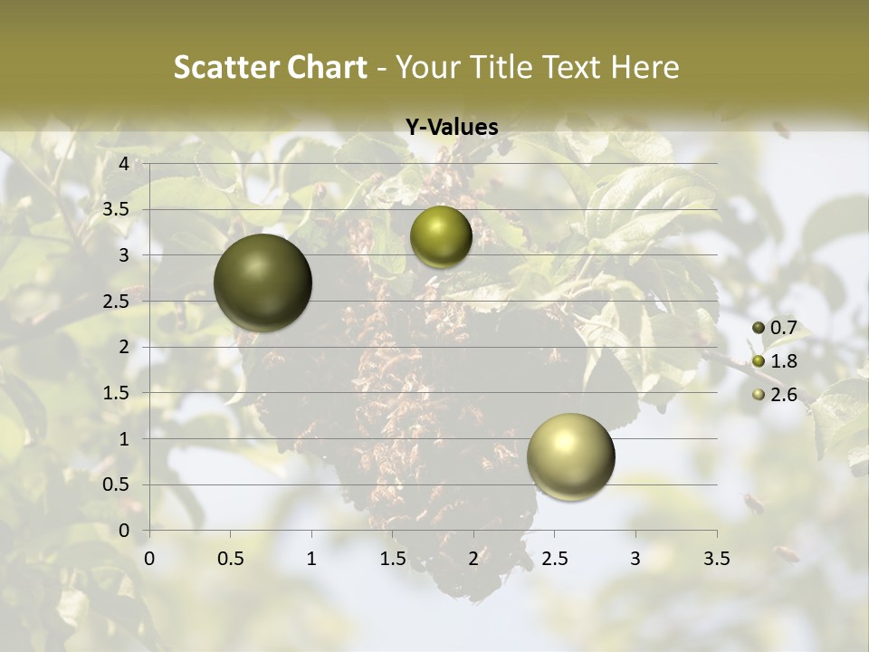Thorax Tree Garden PowerPoint Template