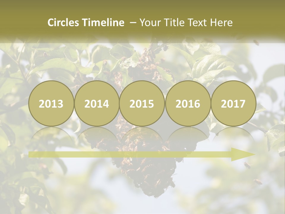 Thorax Tree Garden PowerPoint Template