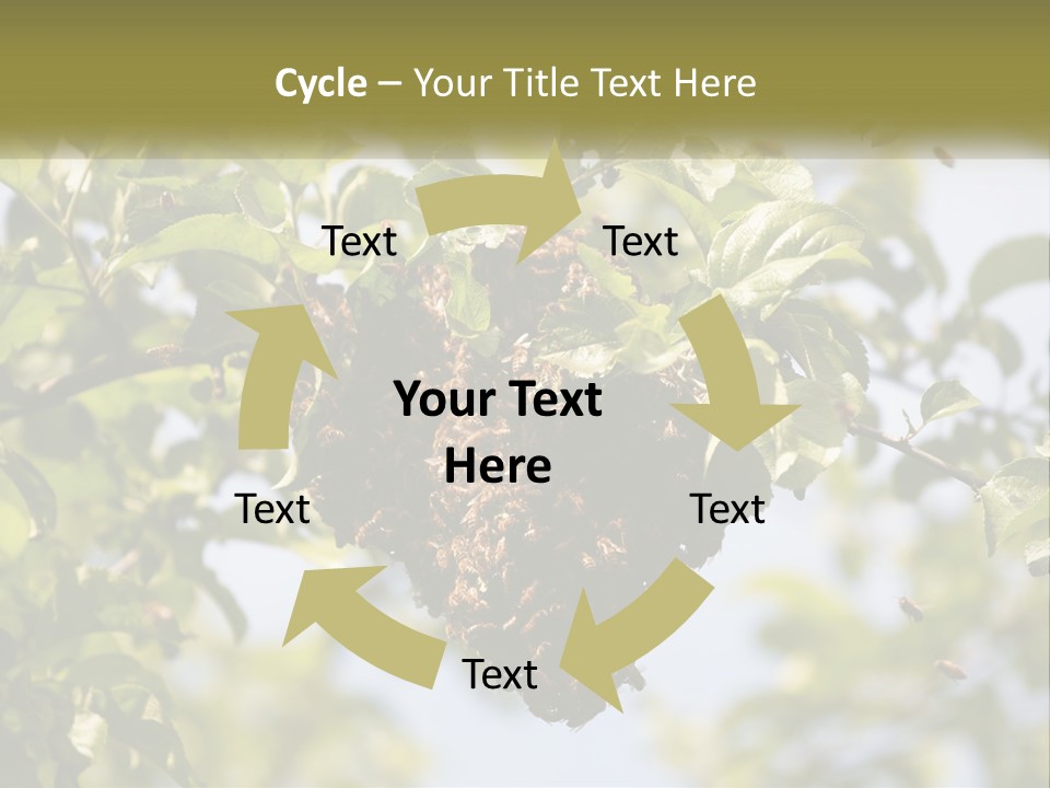 Thorax Tree Garden PowerPoint Template