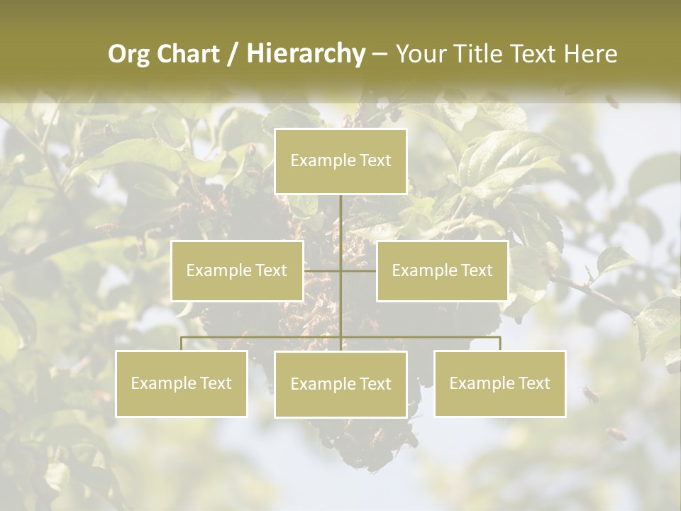 Thorax Tree Garden PowerPoint Template