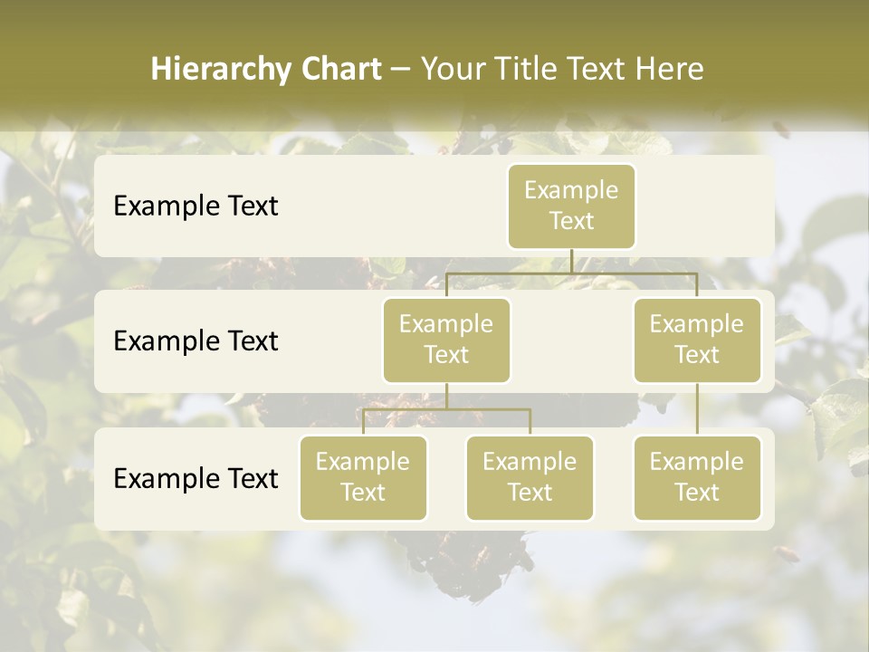 Thorax Tree Garden PowerPoint Template