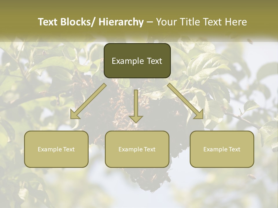 Thorax Tree Garden PowerPoint Template