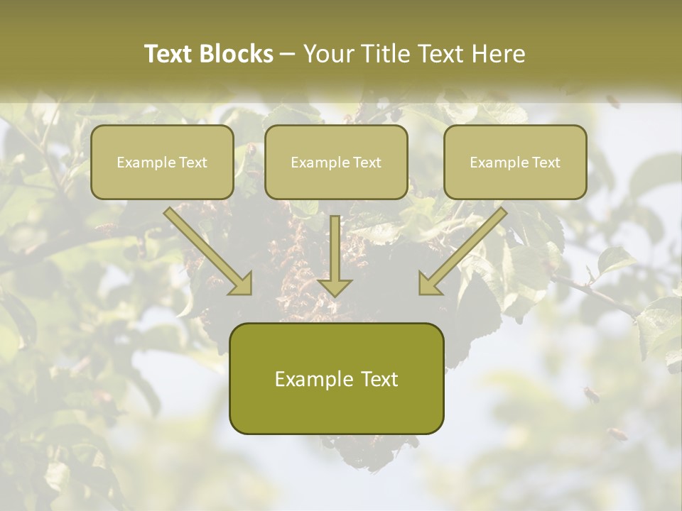 Thorax Tree Garden PowerPoint Template