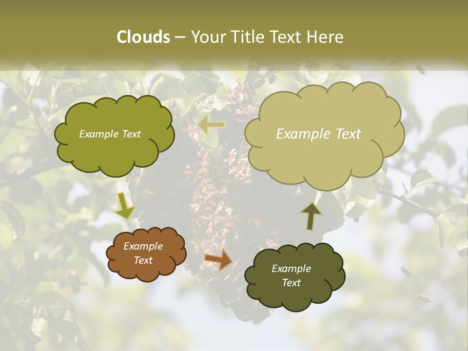 Thorax Tree Garden PowerPoint Template
