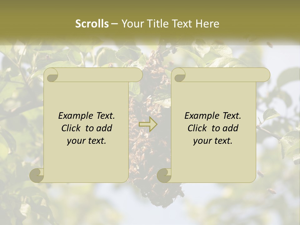Thorax Tree Garden PowerPoint Template