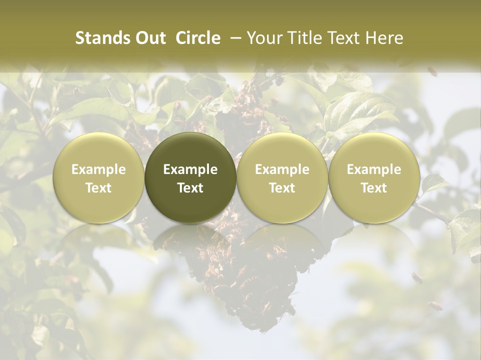 Thorax Tree Garden PowerPoint Template