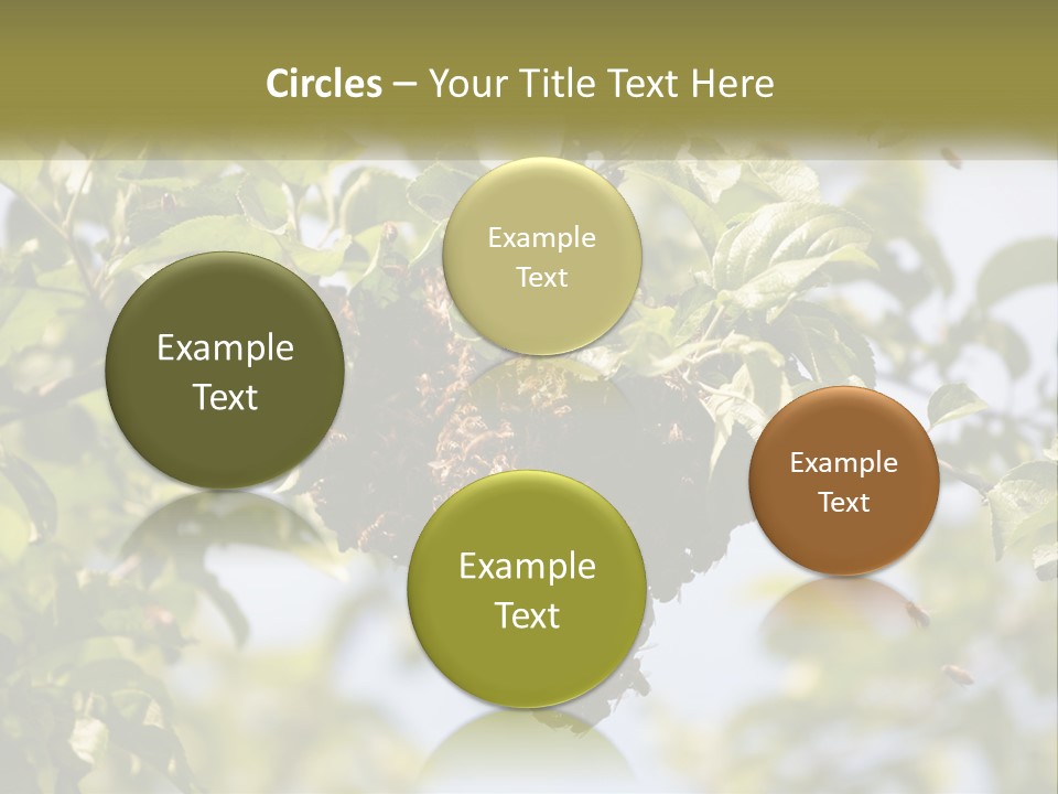 Thorax Tree Garden PowerPoint Template