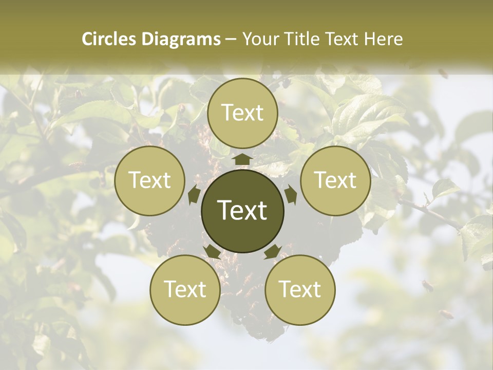 Thorax Tree Garden PowerPoint Template