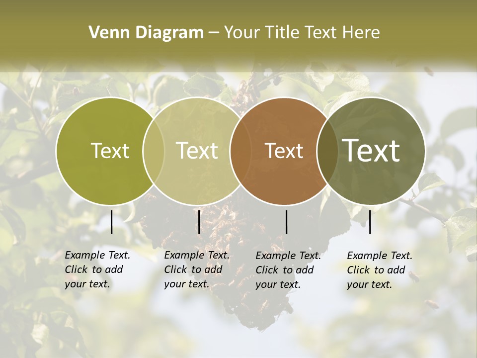 Thorax Tree Garden PowerPoint Template