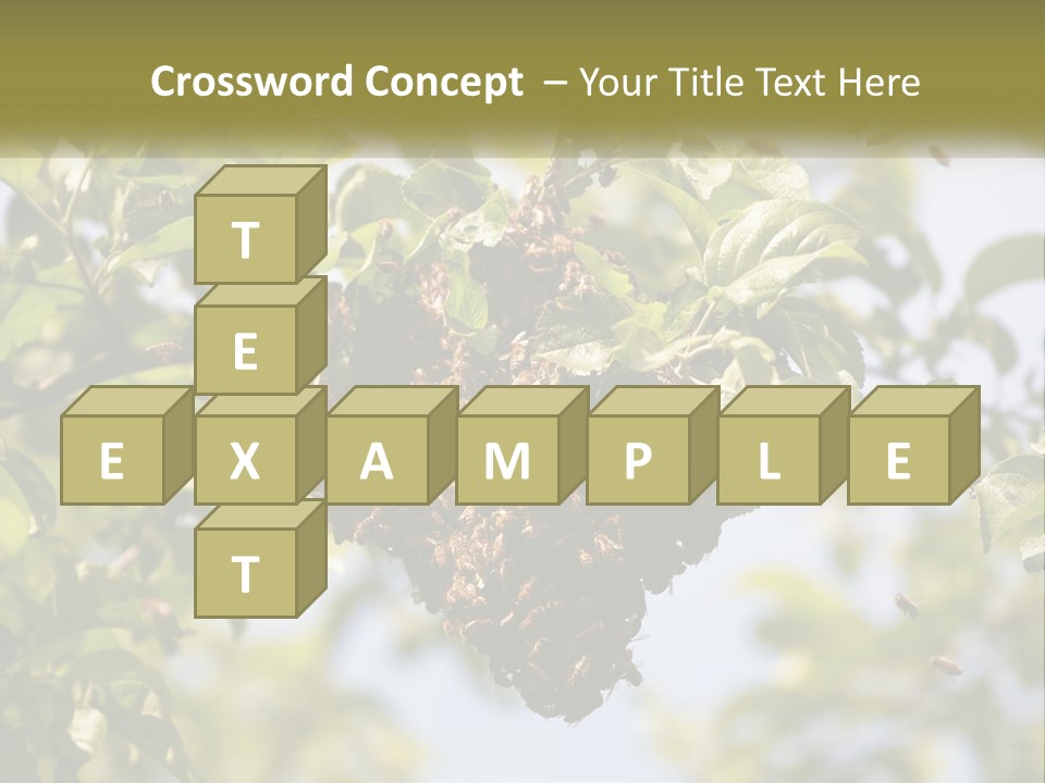 Thorax Tree Garden PowerPoint Template