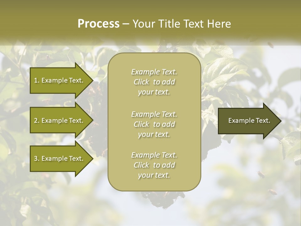 Thorax Tree Garden PowerPoint Template