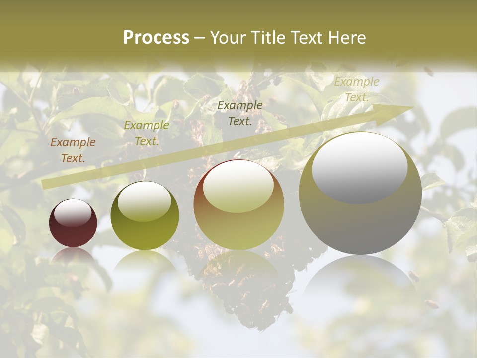 Thorax Tree Garden PowerPoint Template