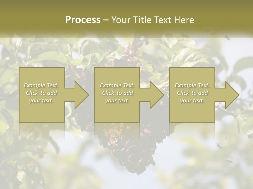 Thorax Tree Garden PowerPoint Template