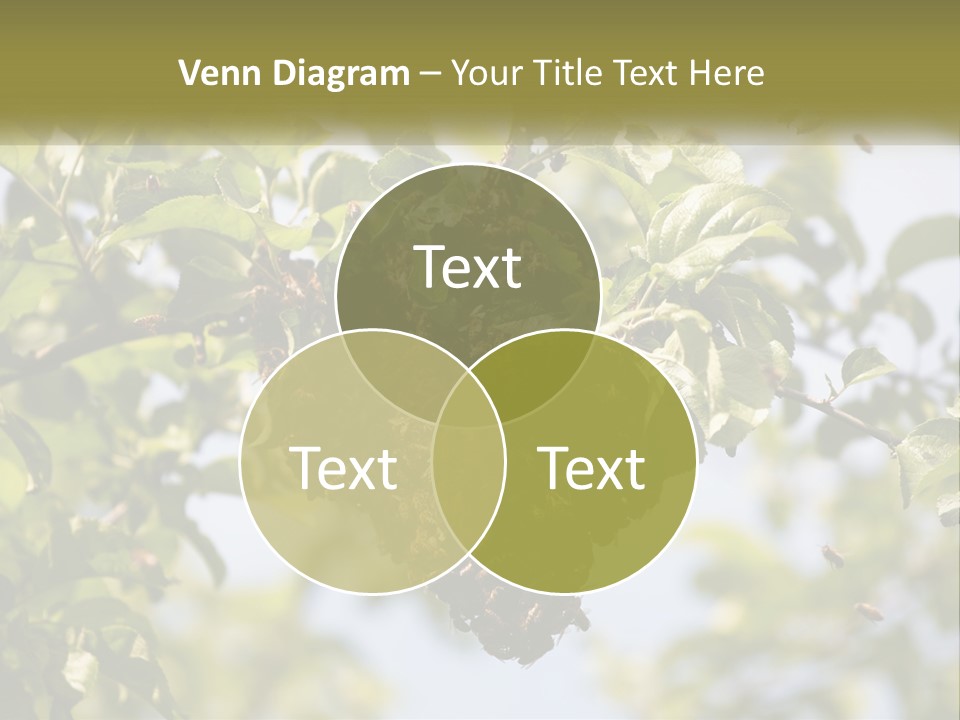 Thorax Tree Garden PowerPoint Template