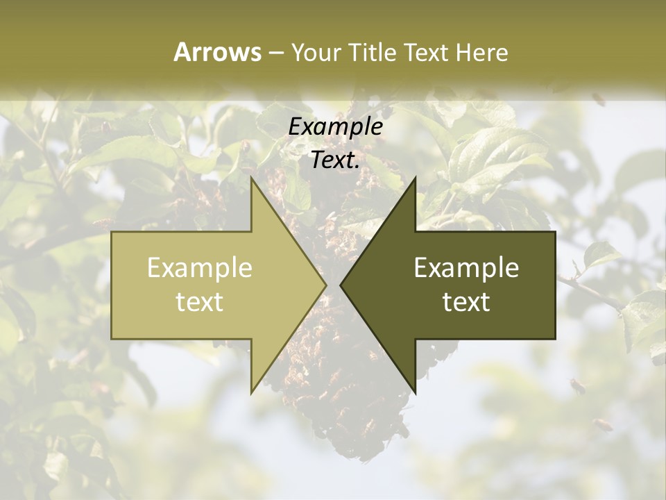 Thorax Tree Garden PowerPoint Template