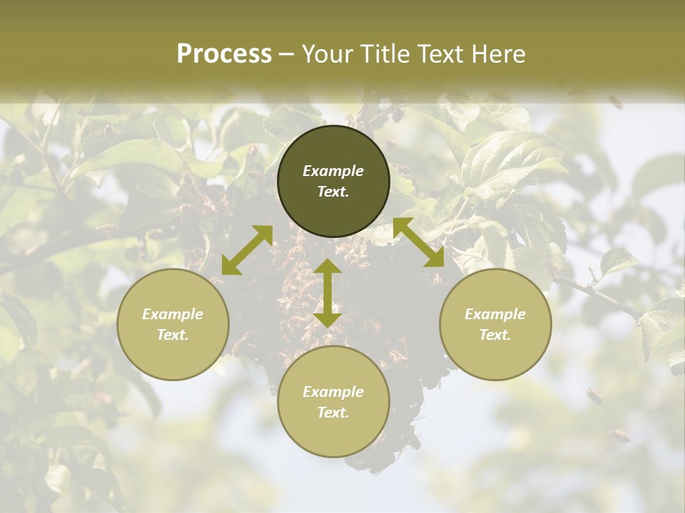 Thorax Tree Garden PowerPoint Template