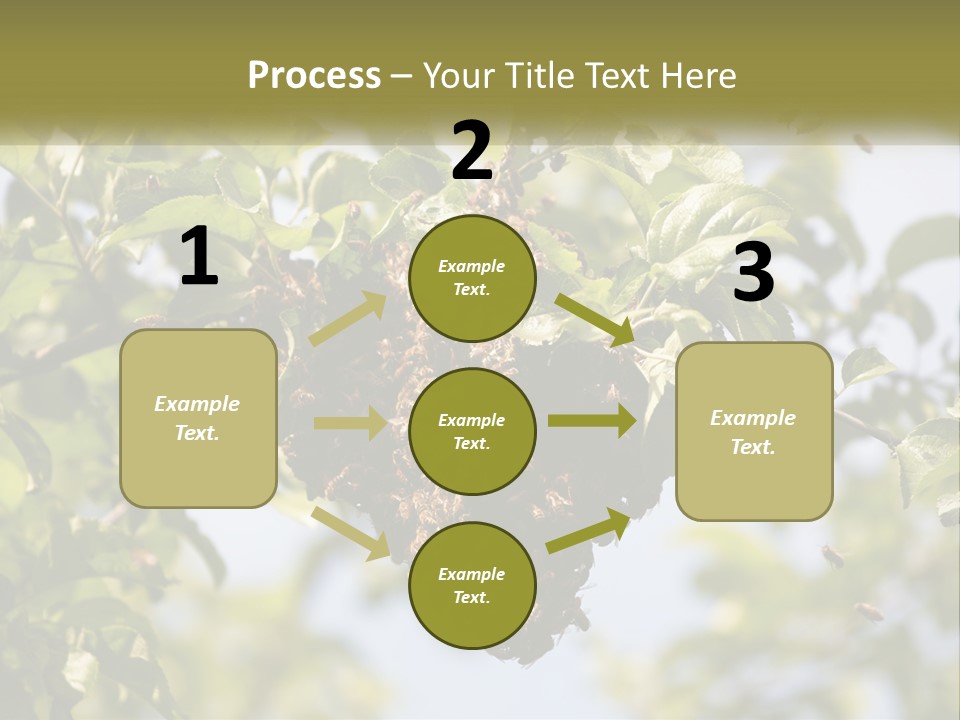Thorax Tree Garden PowerPoint Template